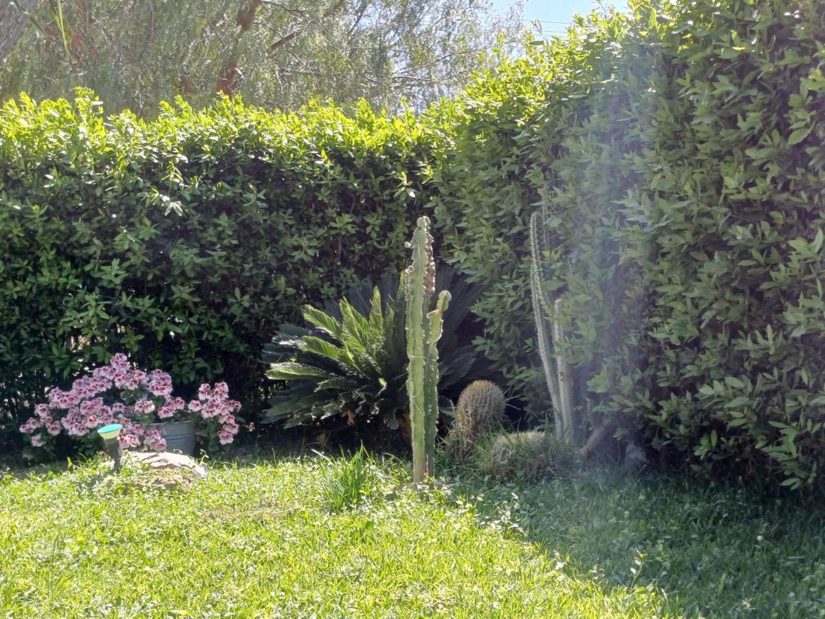 La Virgy Per Noto With Share Swimming Pool With Wonderful Sea View Vila Avola Exterior foto